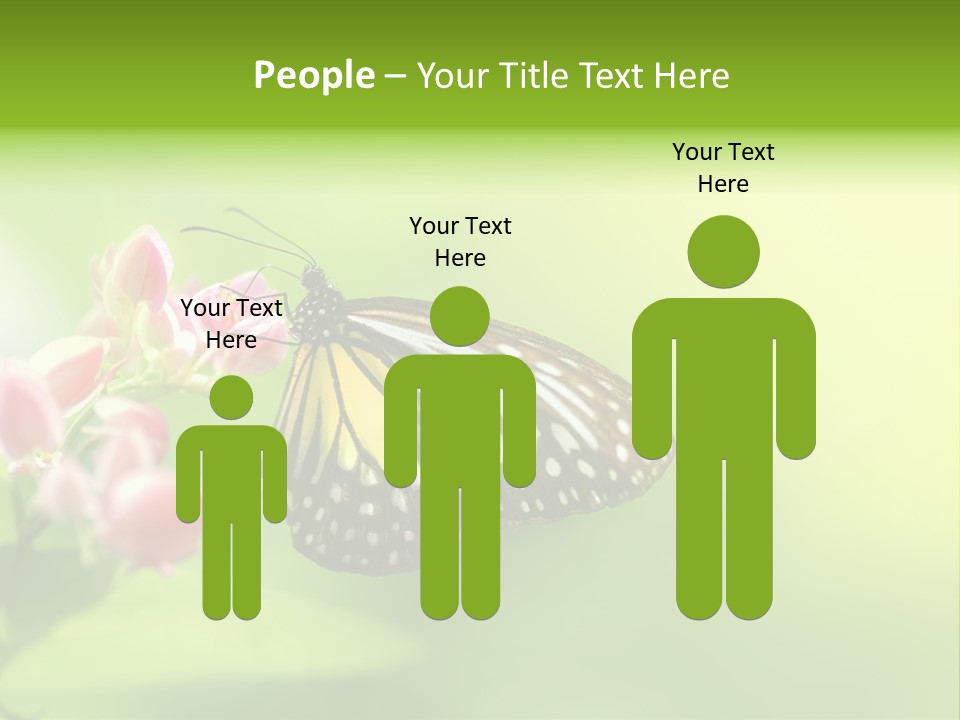 Macro Lepidoptera Color PowerPoint Template