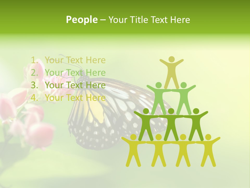 Macro Lepidoptera Color PowerPoint Template