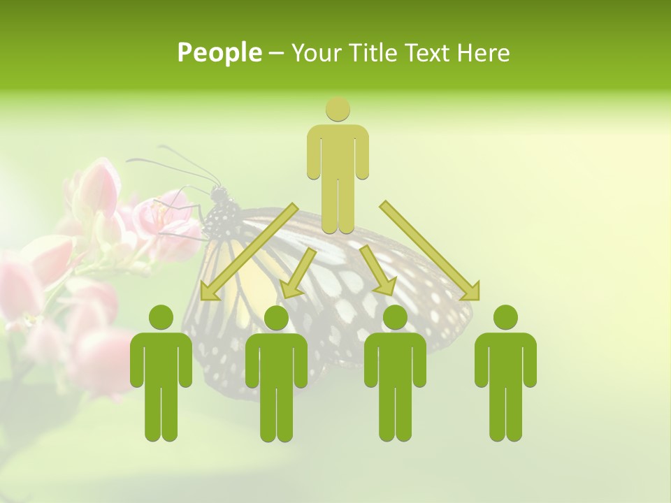 Macro Lepidoptera Color PowerPoint Template