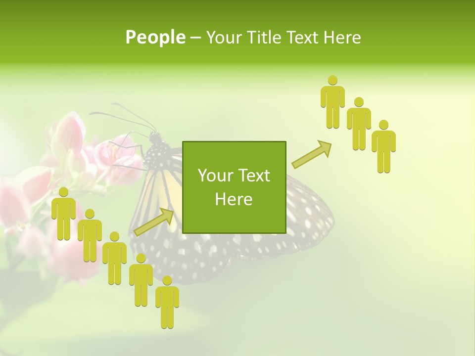 Macro Lepidoptera Color PowerPoint Template