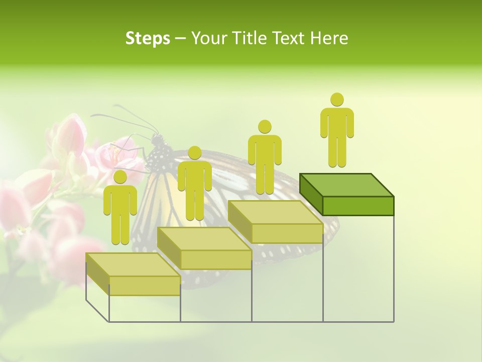 Macro Lepidoptera Color PowerPoint Template