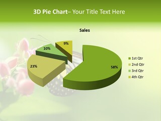 Macro Lepidoptera Color PowerPoint Template