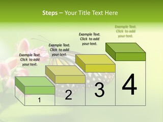 Macro Lepidoptera Color PowerPoint Template