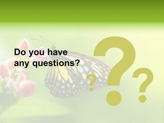 Macro Lepidoptera Color PowerPoint Template