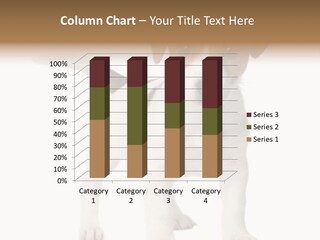 Animal Gazing Isolated PowerPoint Template