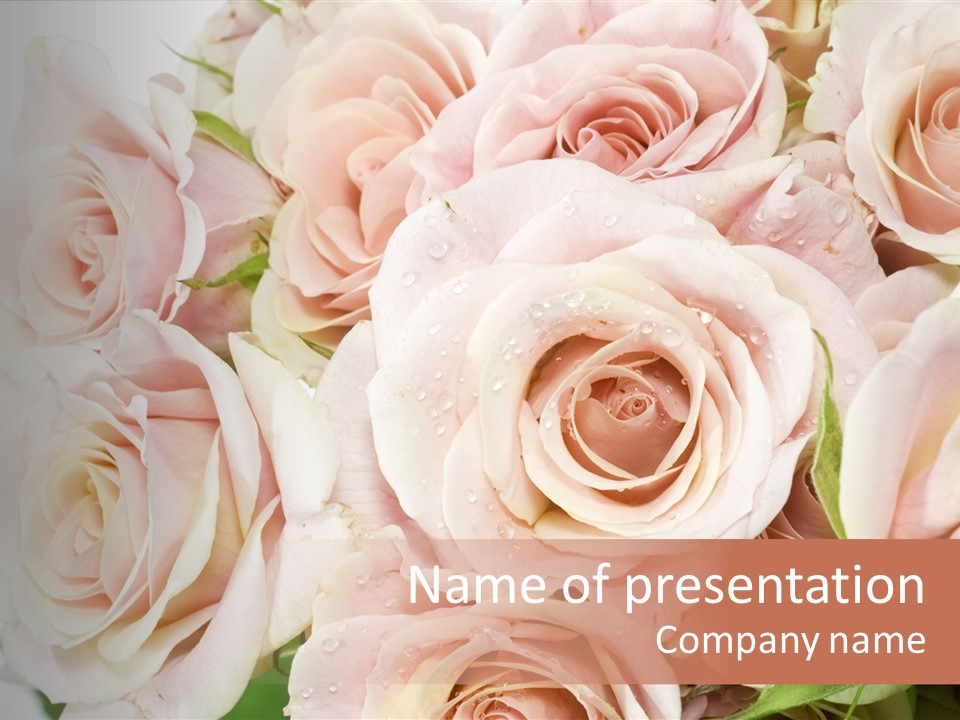 Corner Rosa Buds PowerPoint Template