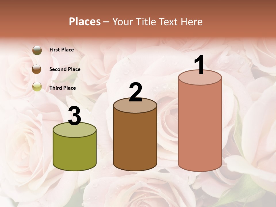 Corner Rosa Buds PowerPoint Template