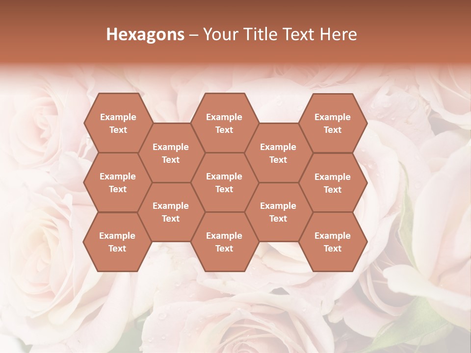 Corner Rosa Buds PowerPoint Template