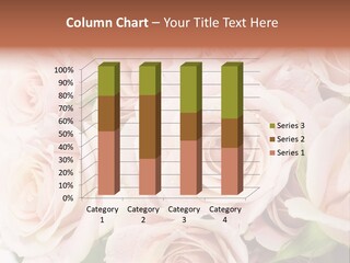 Corner Rosa Buds PowerPoint Template