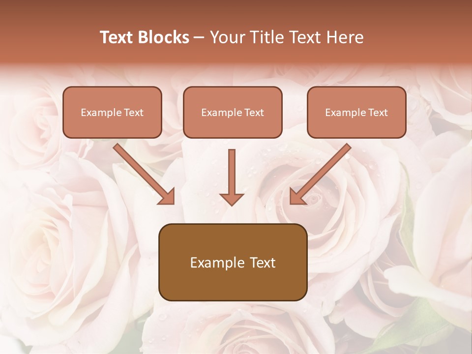 Corner Rosa Buds PowerPoint Template