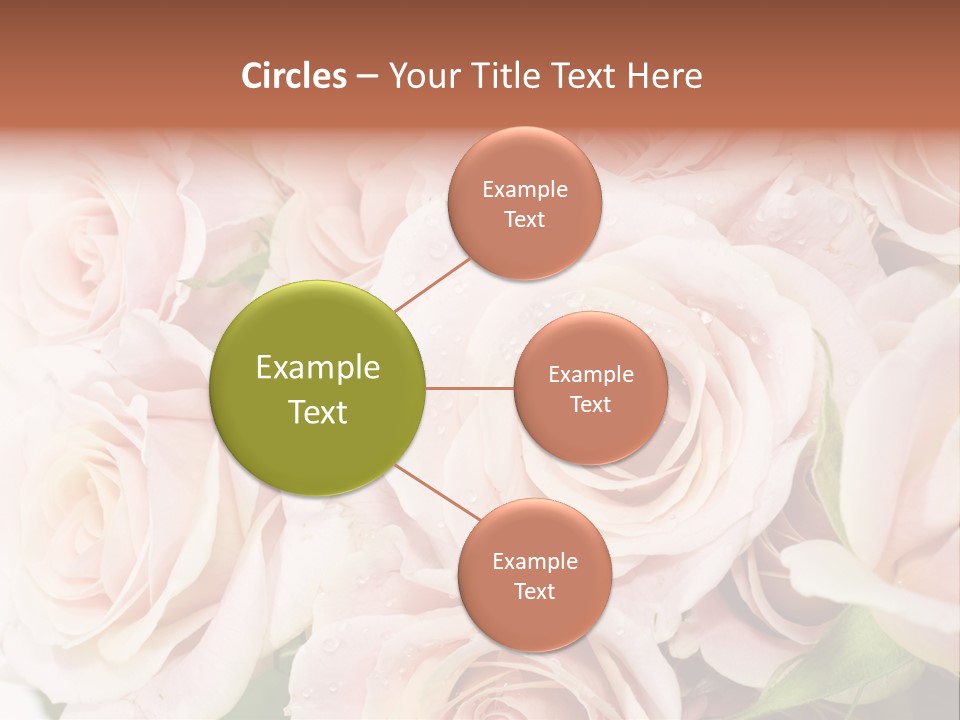 Corner Rosa Buds PowerPoint Template