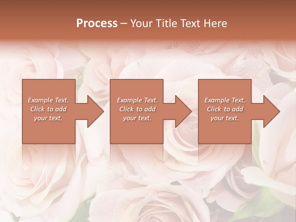 Corner Rosa Buds PowerPoint Template
