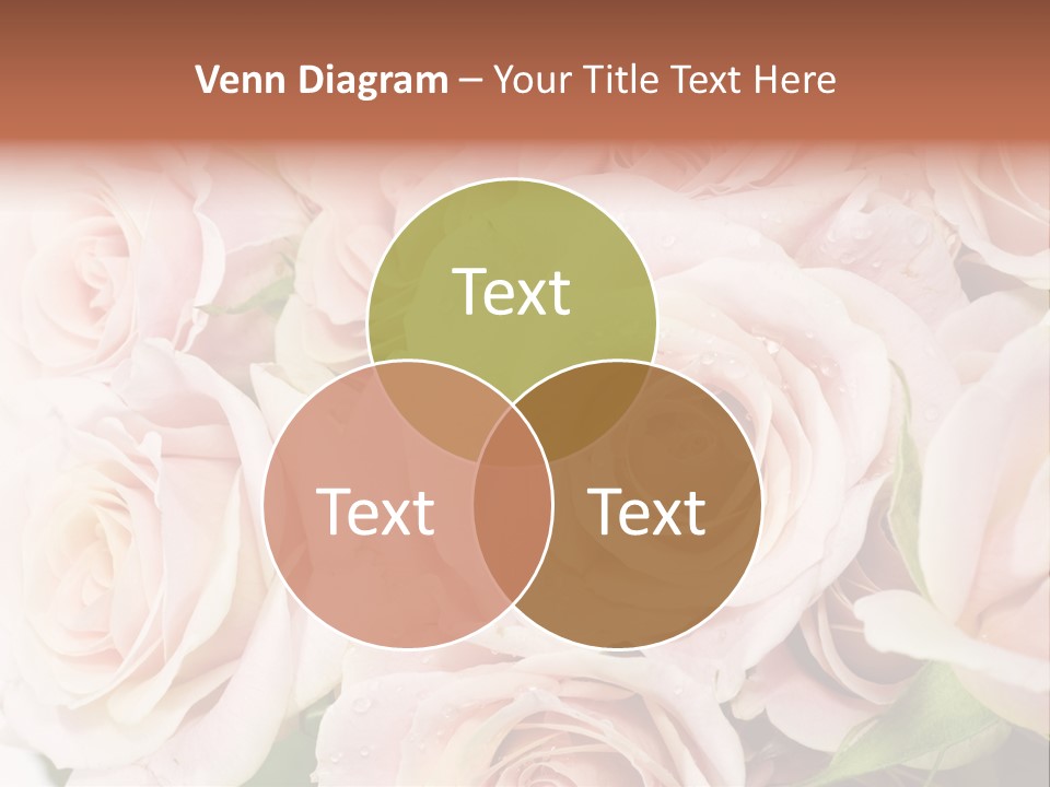 Corner Rosa Buds PowerPoint Template