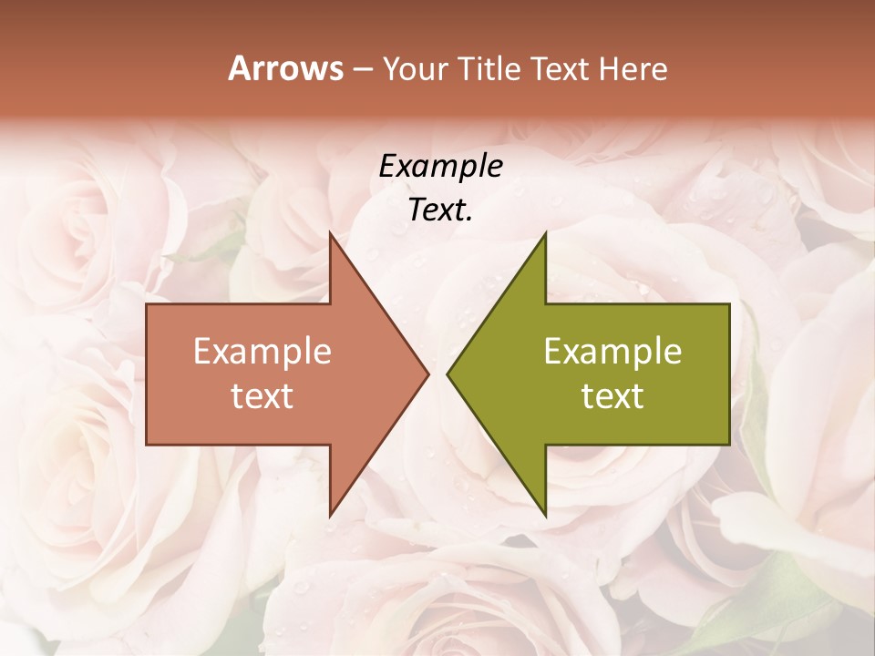 Corner Rosa Buds PowerPoint Template