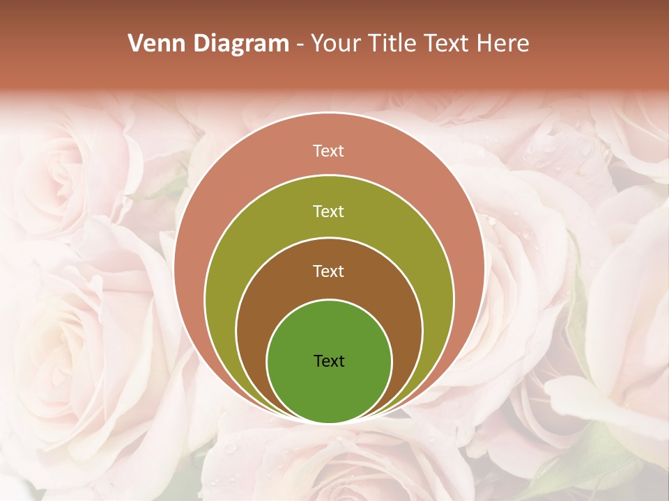 Corner Rosa Buds PowerPoint Template