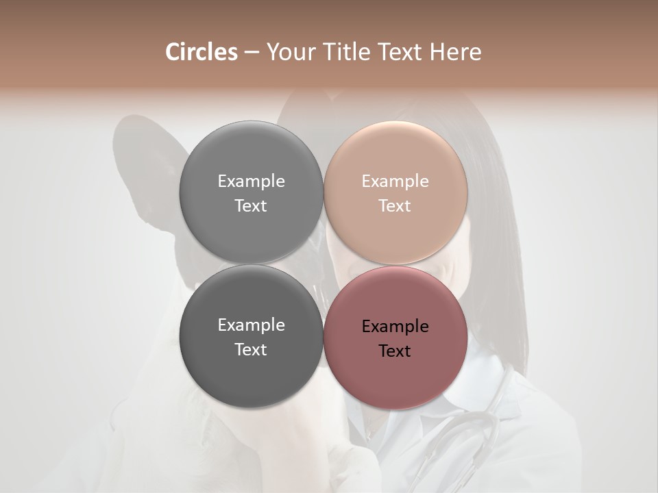 A Woman Holding A Small Dog In Her Arms PowerPoint Template