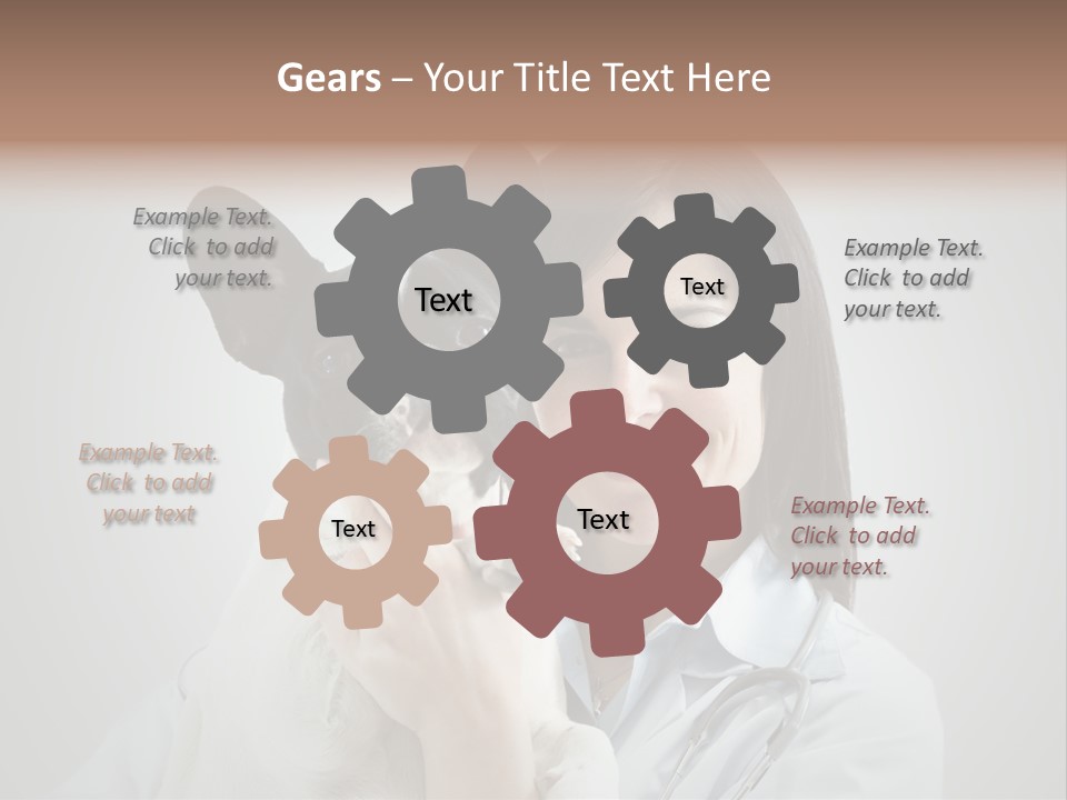 A Woman Holding A Small Dog In Her Arms PowerPoint Template