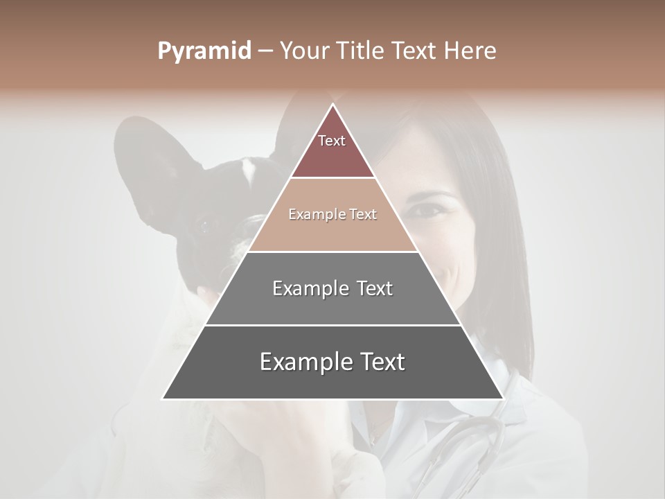 A Woman Holding A Small Dog In Her Arms PowerPoint Template