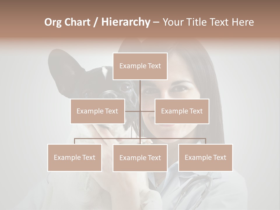 A Woman Holding A Small Dog In Her Arms PowerPoint Template