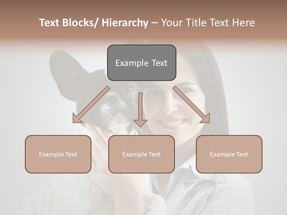 A Woman Holding A Small Dog In Her Arms PowerPoint Template