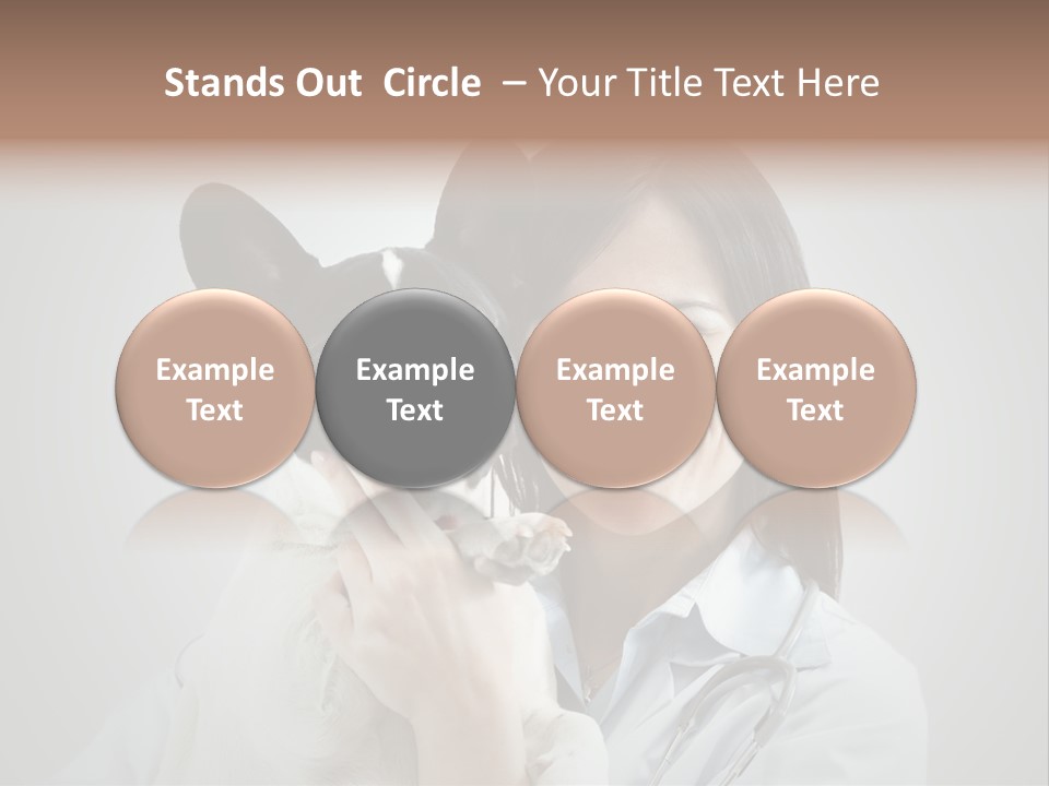 A Woman Holding A Small Dog In Her Arms PowerPoint Template