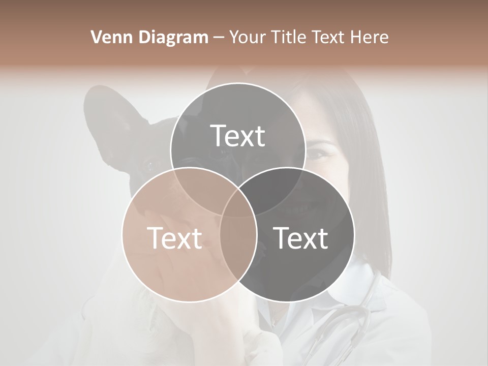 A Woman Holding A Small Dog In Her Arms PowerPoint Template