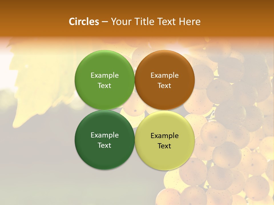 Sunny Agricultural Agriculture PowerPoint Template