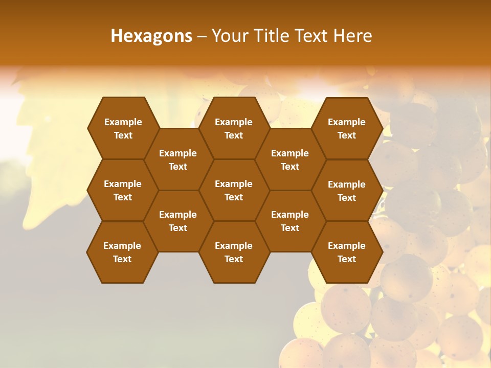 Sunny Agricultural Agriculture PowerPoint Template