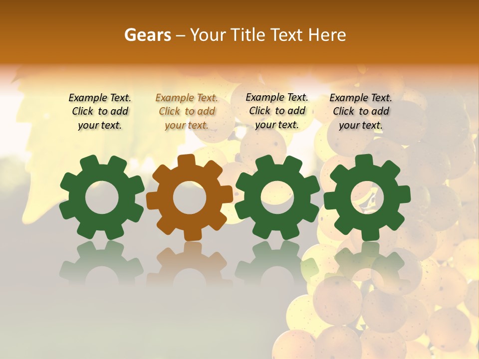 Sunny Agricultural Agriculture PowerPoint Template