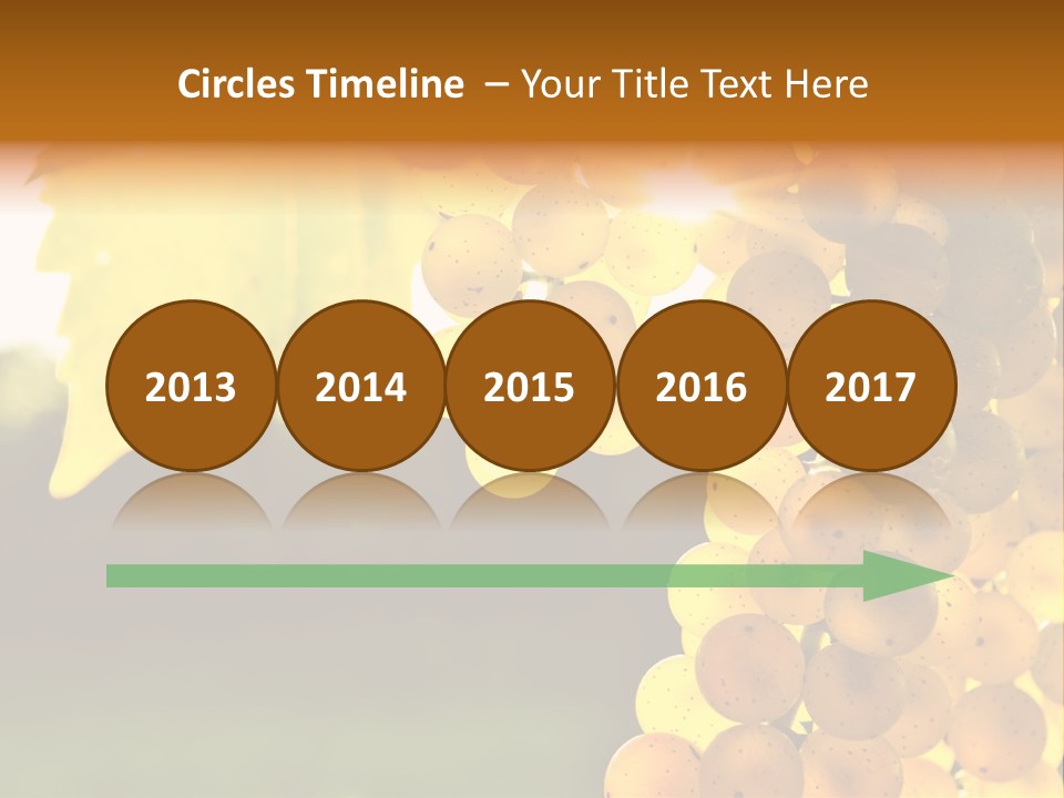 Sunny Agricultural Agriculture PowerPoint Template