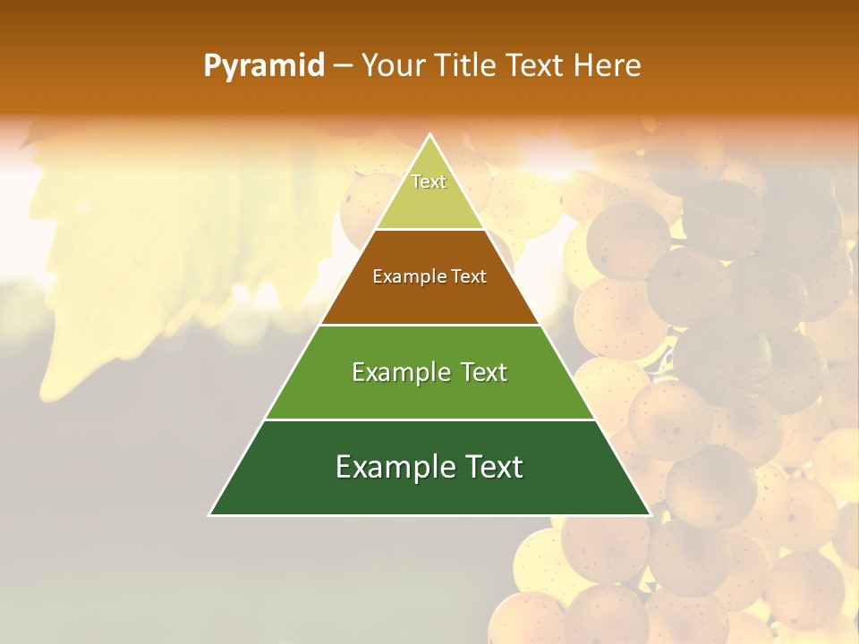 Sunny Agricultural Agriculture PowerPoint Template