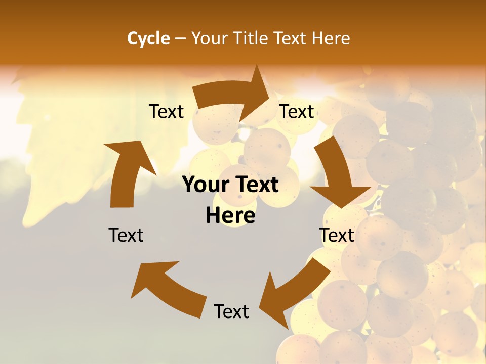 Sunny Agricultural Agriculture PowerPoint Template