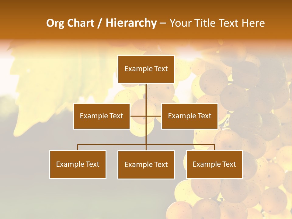 Sunny Agricultural Agriculture PowerPoint Template