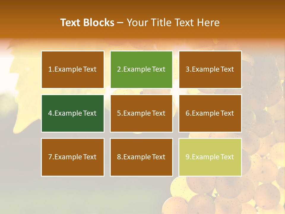 Sunny Agricultural Agriculture PowerPoint Template
