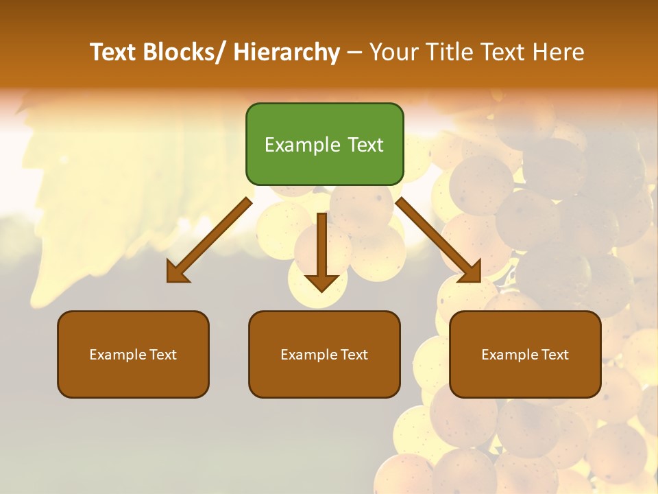 Sunny Agricultural Agriculture PowerPoint Template