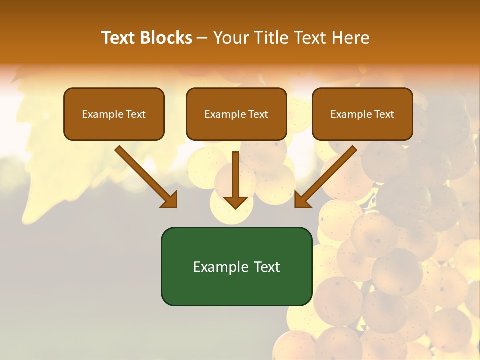 Sunny Agricultural Agriculture PowerPoint Template