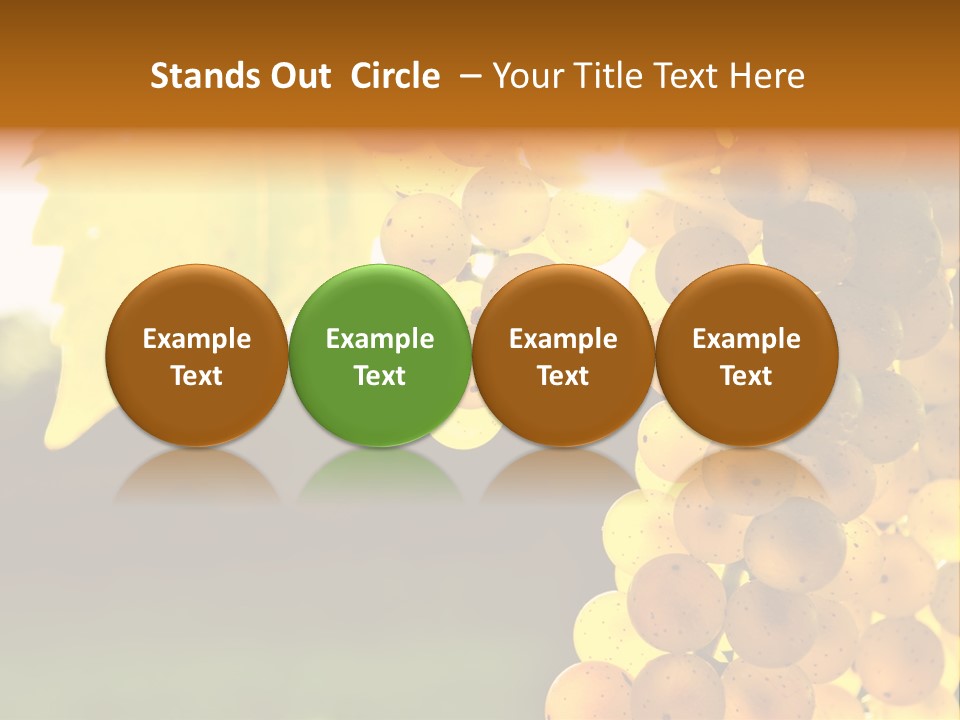 Sunny Agricultural Agriculture PowerPoint Template