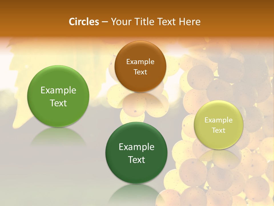Sunny Agricultural Agriculture PowerPoint Template