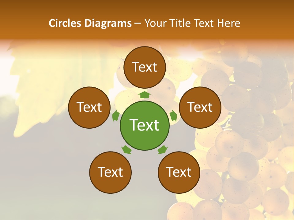 Sunny Agricultural Agriculture PowerPoint Template