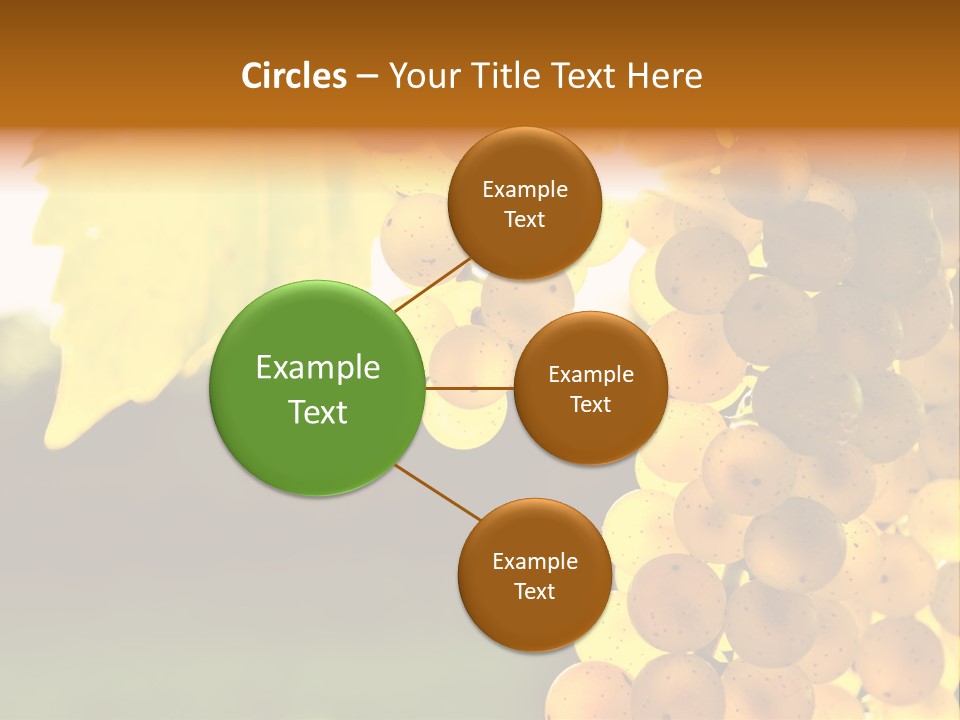 Sunny Agricultural Agriculture PowerPoint Template