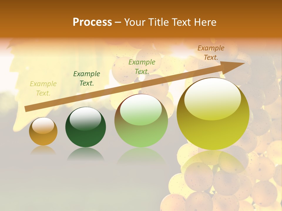 Sunny Agricultural Agriculture PowerPoint Template