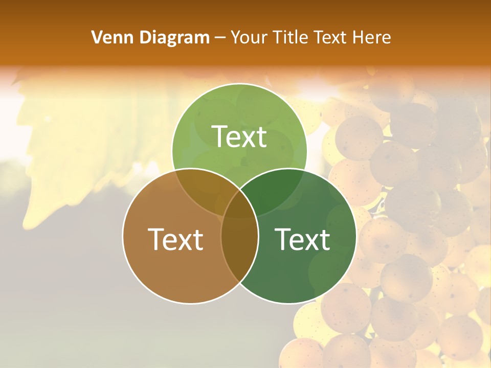 Sunny Agricultural Agriculture PowerPoint Template