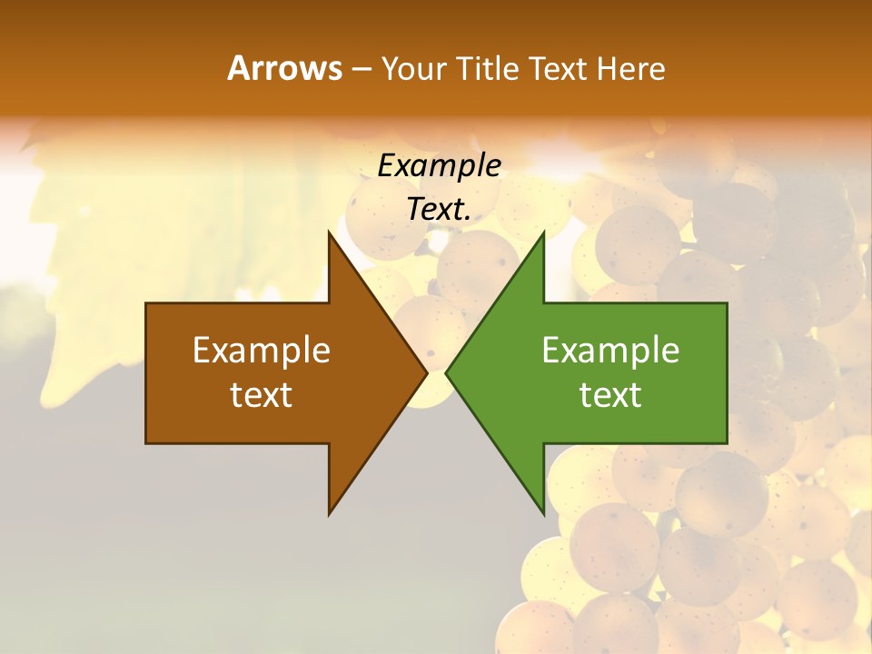Sunny Agricultural Agriculture PowerPoint Template