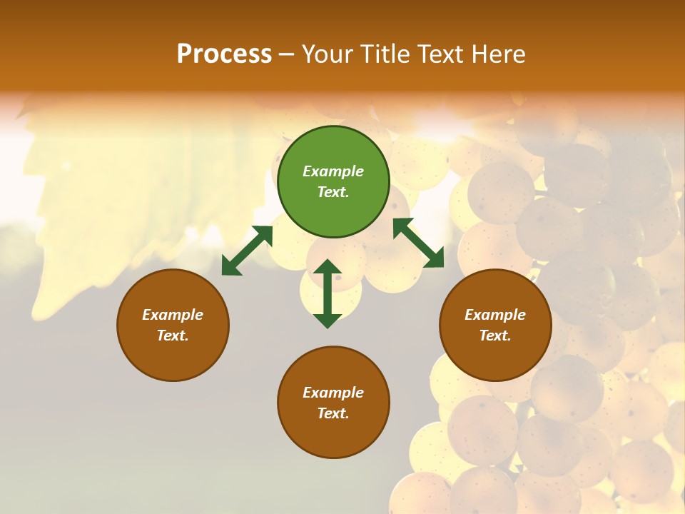 Sunny Agricultural Agriculture PowerPoint Template