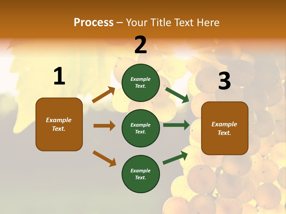Sunny Agricultural Agriculture PowerPoint Template