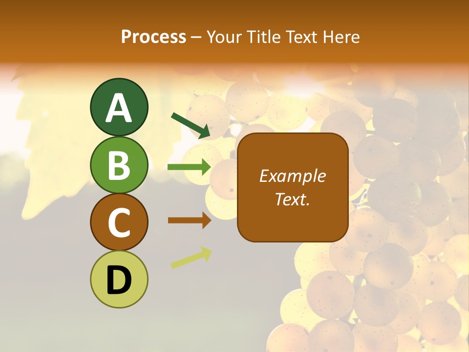Sunny Agricultural Agriculture PowerPoint Template