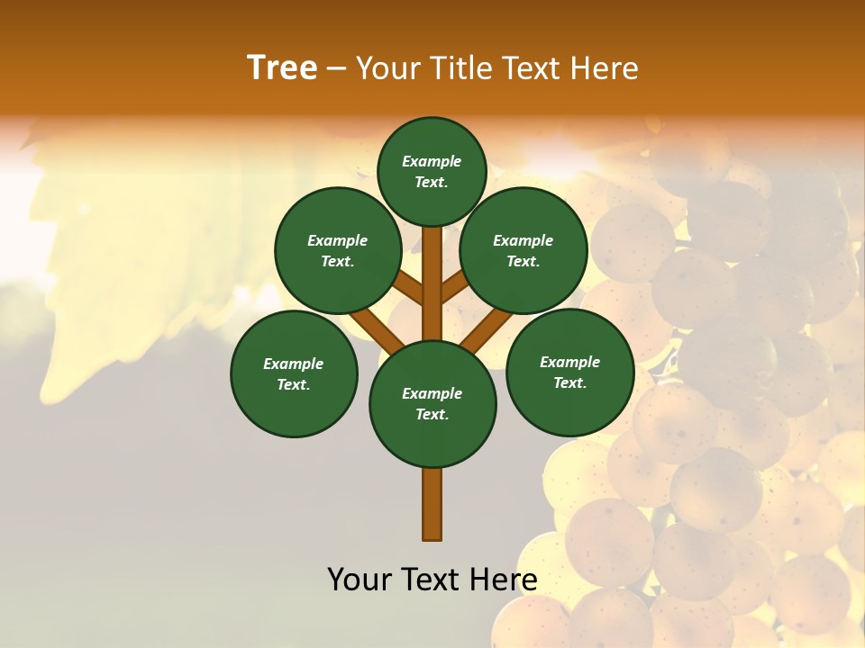 Sunny Agricultural Agriculture PowerPoint Template