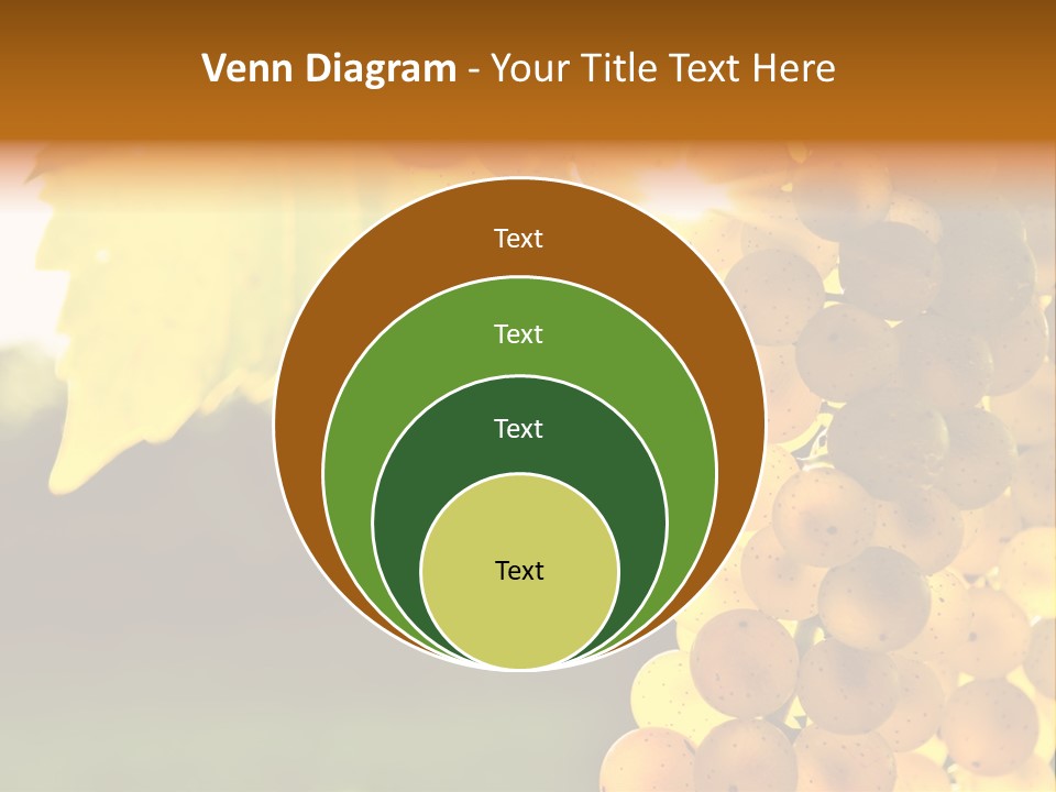 Sunny Agricultural Agriculture PowerPoint Template
