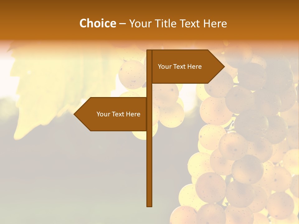 Sunny Agricultural Agriculture PowerPoint Template