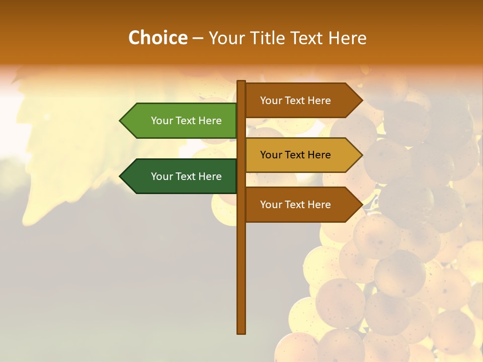 Sunny Agricultural Agriculture PowerPoint Template